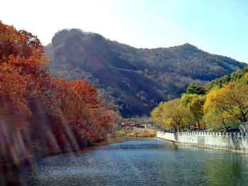 澳门二四六天天免费好材料，水晶梨产地